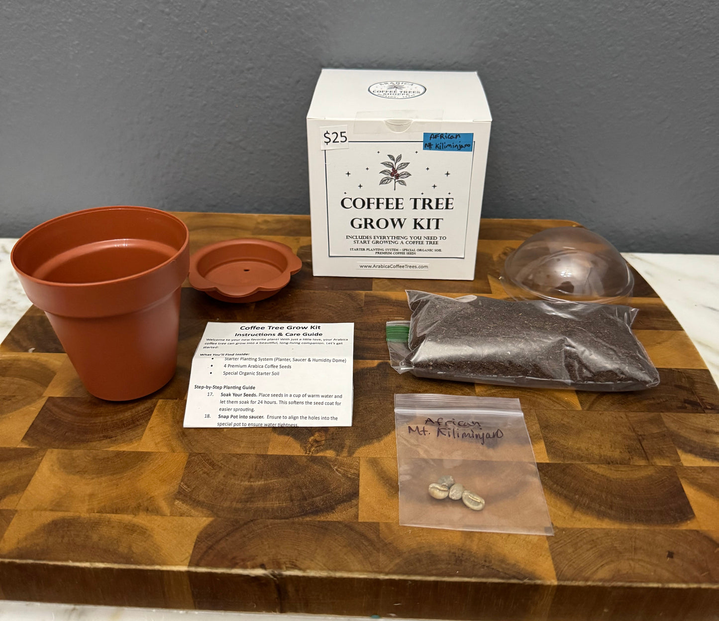 Coffee tree grow kit.