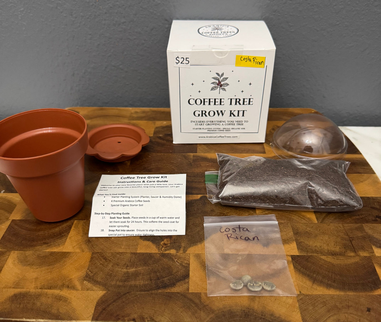 Costa Rican Arabica Coffee Tree Grow Kit