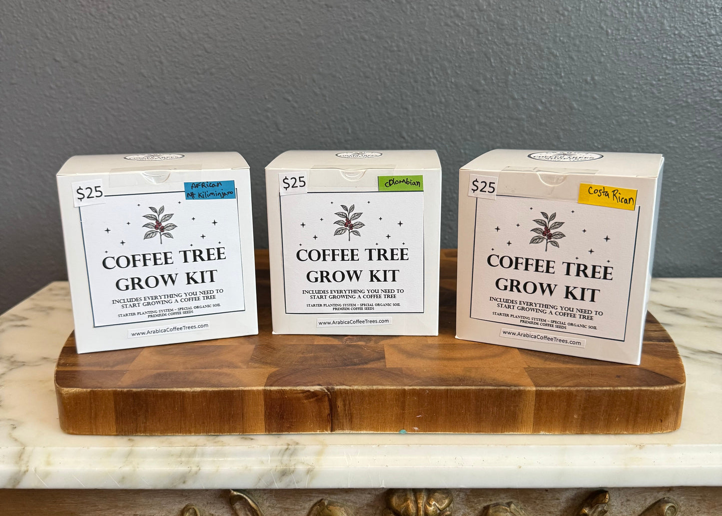 Three coffee tree grow kit boxes included in the Arabica Flight.