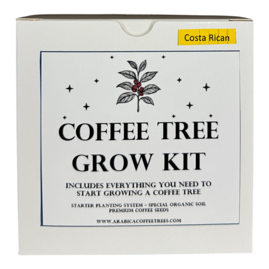 Costa Rican Arabica Coffee Tree Grow Kit