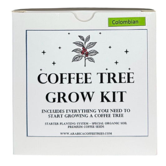 Colombian Arabica Coffee Tree Grow Kit