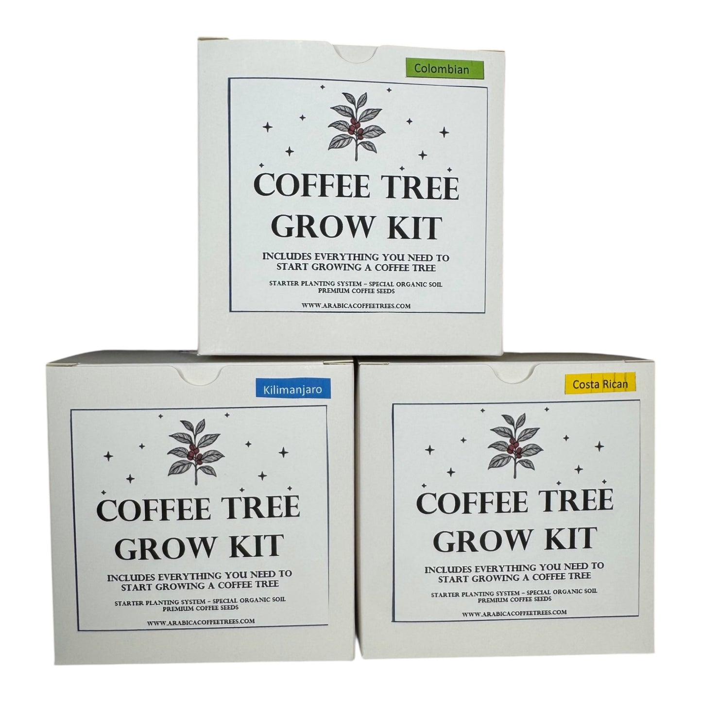 The Arabica Flight – 3 Origins, One Legacy