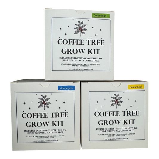 The Arabica Flight – 3 Origins, One Legacy