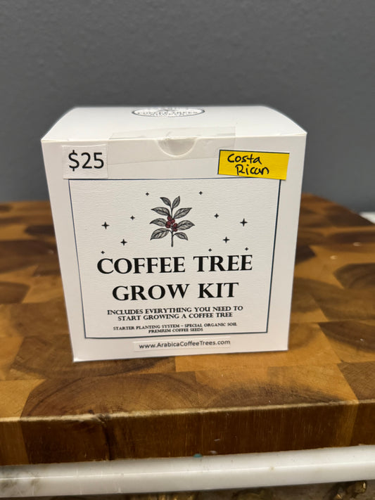 Costa Rican Arabica Coffee Tree Grow Kit