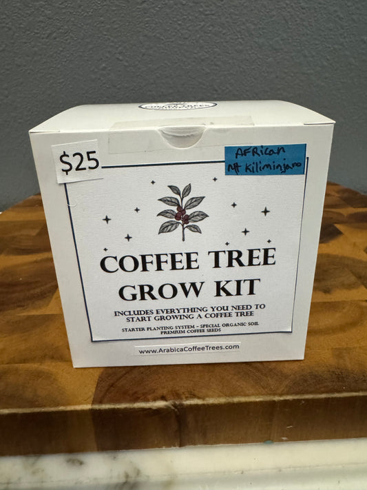 African Mt. Kilimanjaro Arabica Coffee Tree Grow Kit