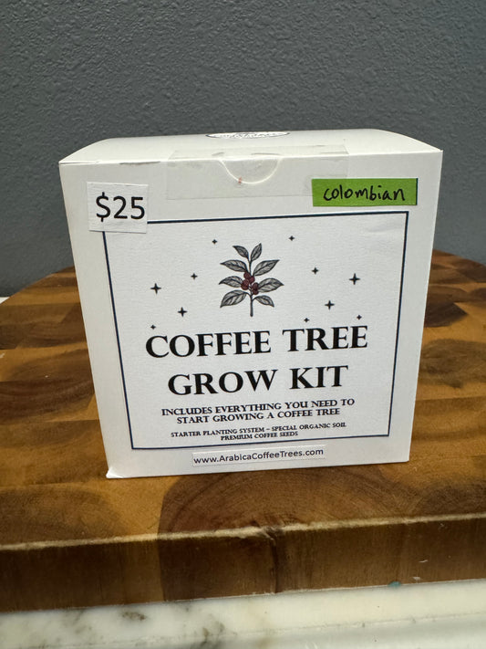 Coffee tree grow kit
